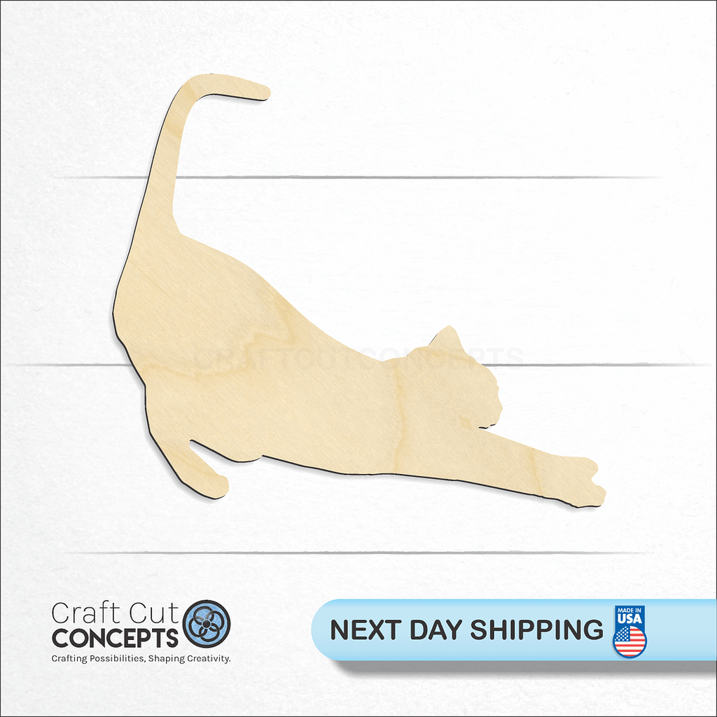 Craft Cut Concepts logo and next day shipping banner with an unfinished wood Cat -3 craft shape and blank