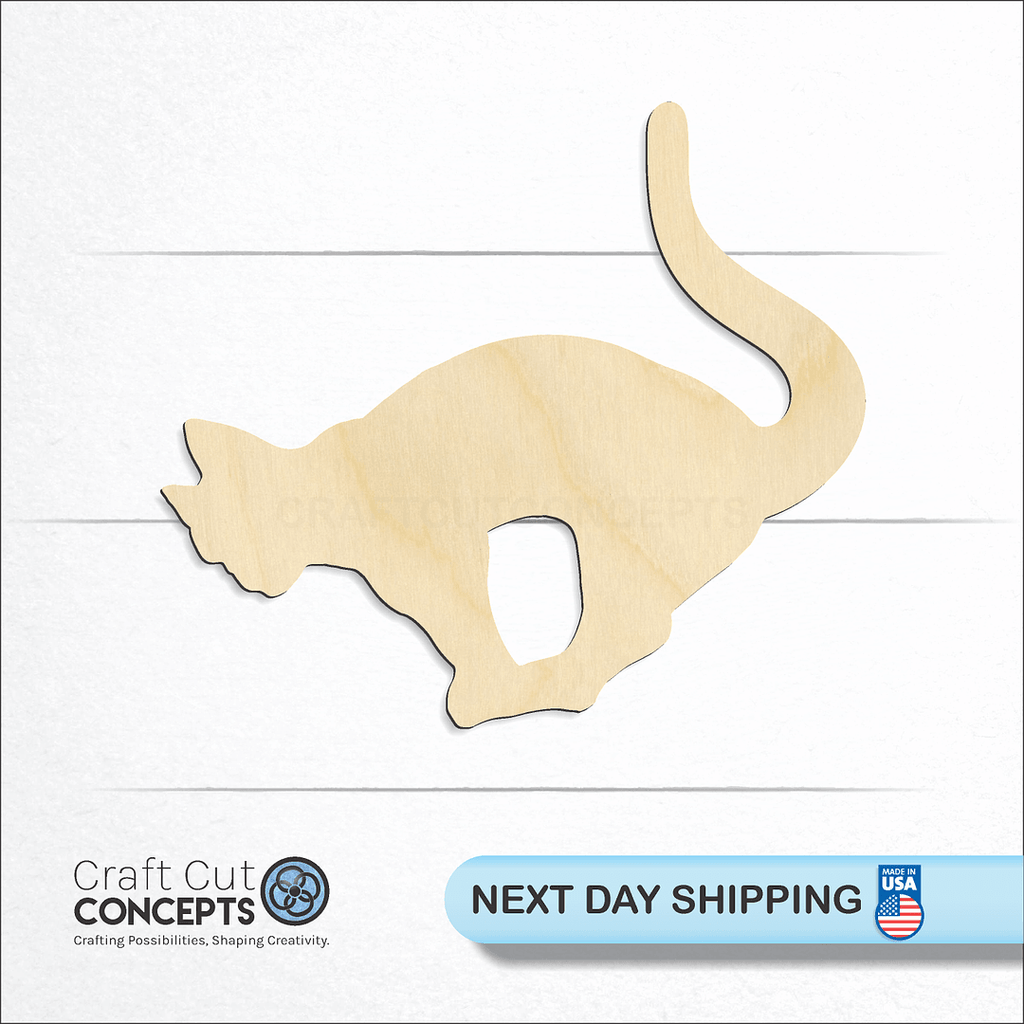 Craft Cut Concepts logo and next day shipping banner with an unfinished wood Cat -4 craft shape and blank