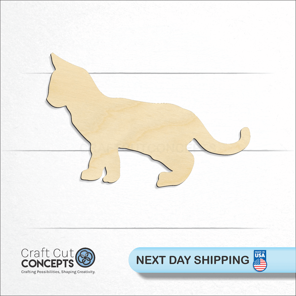 Craft Cut Concepts logo and next day shipping banner with an unfinished wood Kitten craft shape and blank