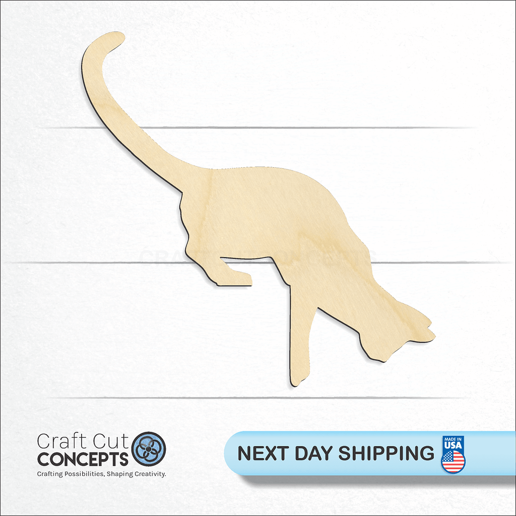 Craft Cut Concepts logo and next day shipping banner with an unfinished wood Door Cat craft shape and blank