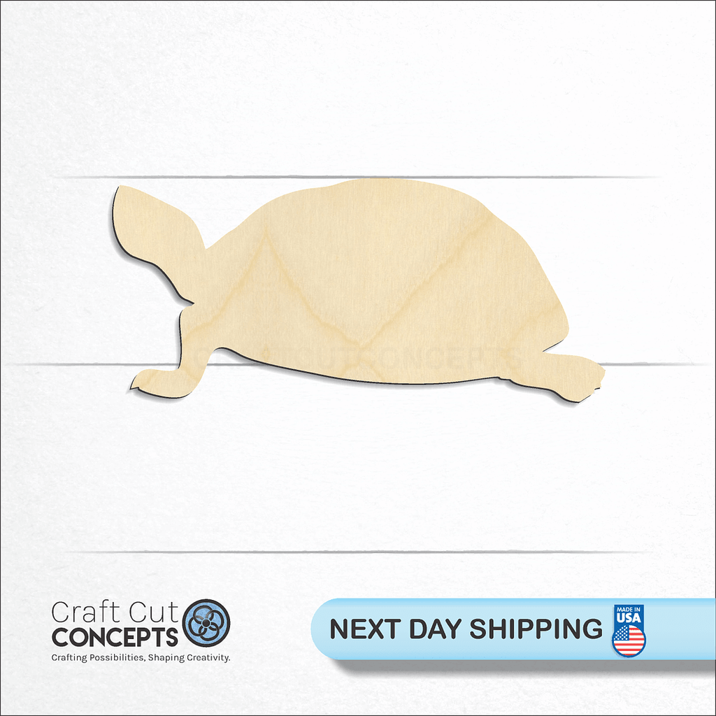 Craft Cut Concepts logo and next day shipping banner with an unfinished wood Turtle -2 craft shape and blank