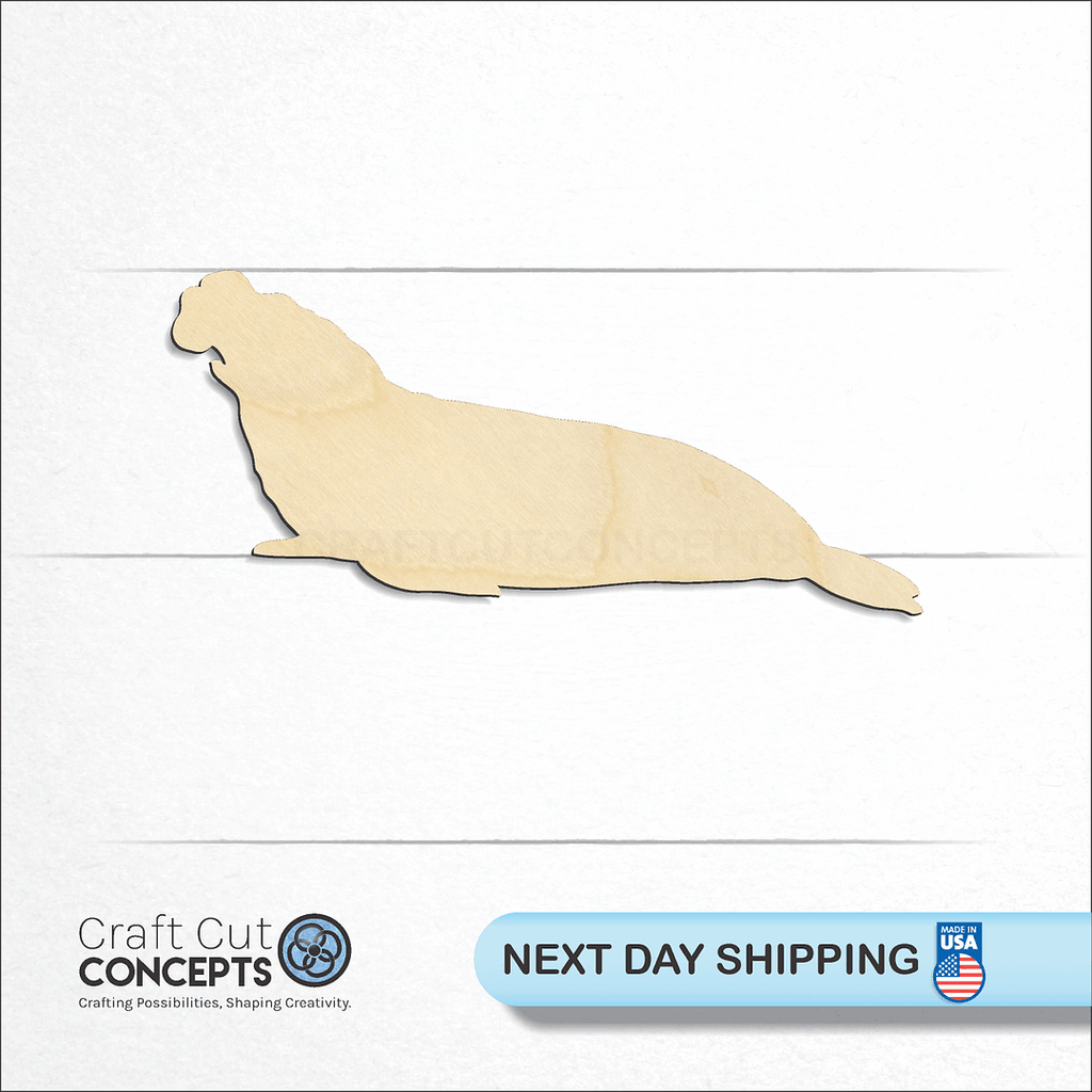 Craft Cut Concepts logo and next day shipping banner with an unfinished wood Elephant Seal craft shape and blank