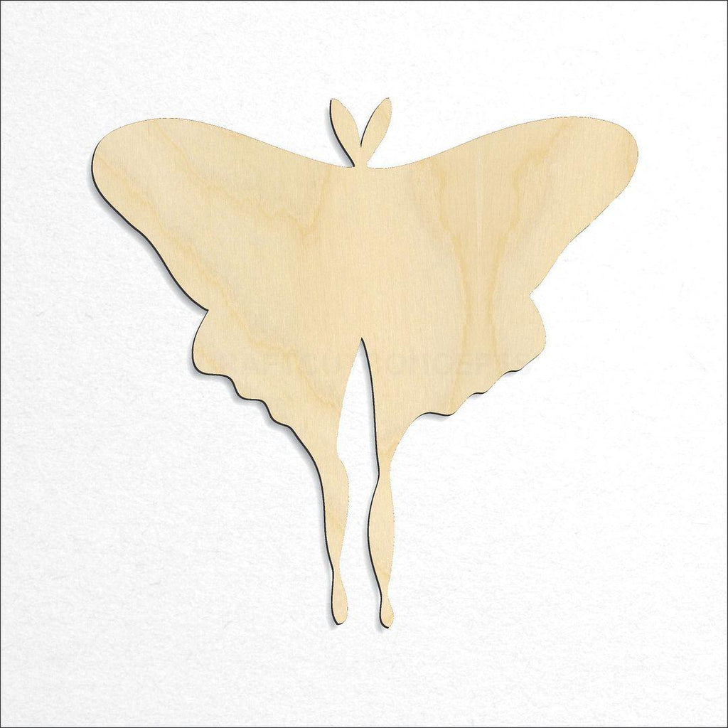 Wooden Moth craft shape available in sizes of 2 inch and up