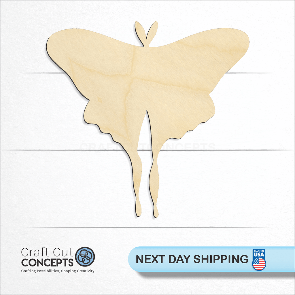 Craft Cut Concepts logo and next day shipping banner with an unfinished wood Moth craft shape and blank