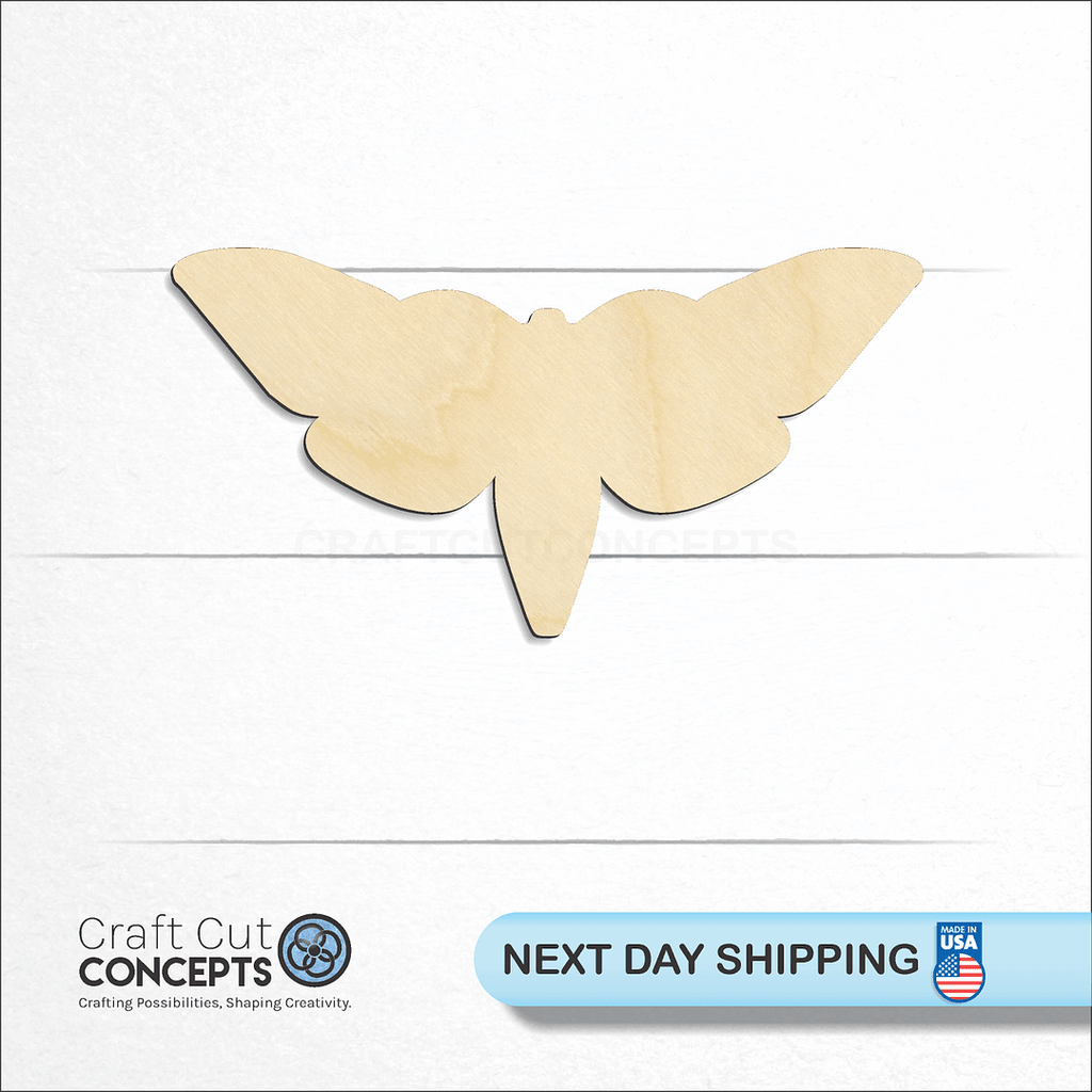 Craft Cut Concepts logo and next day shipping banner with an unfinished wood Moth craft shape and blank