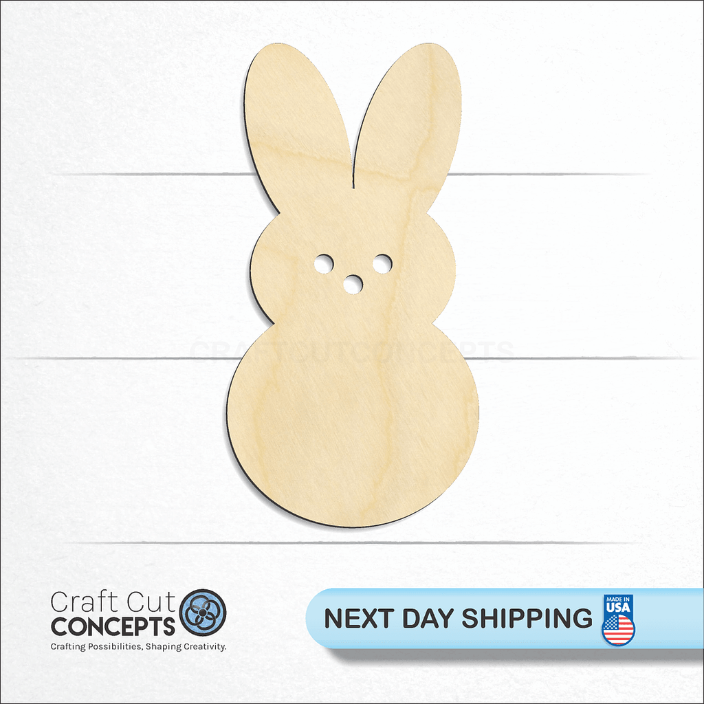 Craft Cut Concepts logo and next day shipping banner with an unfinished wood Easter Bunny craft shape and blank