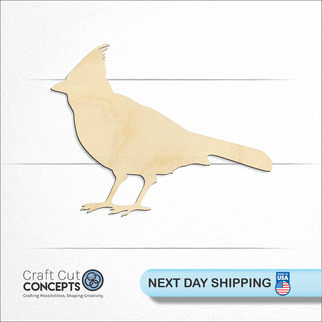 Craft Cut Concepts logo and next day shipping banner with an unfinished wood Blue Jay craft shape and blank