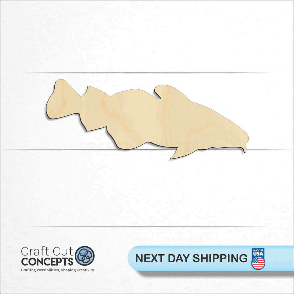 Craft Cut Concepts logo and next day shipping banner with an unfinished wood Codfish 2 craft shape and blank