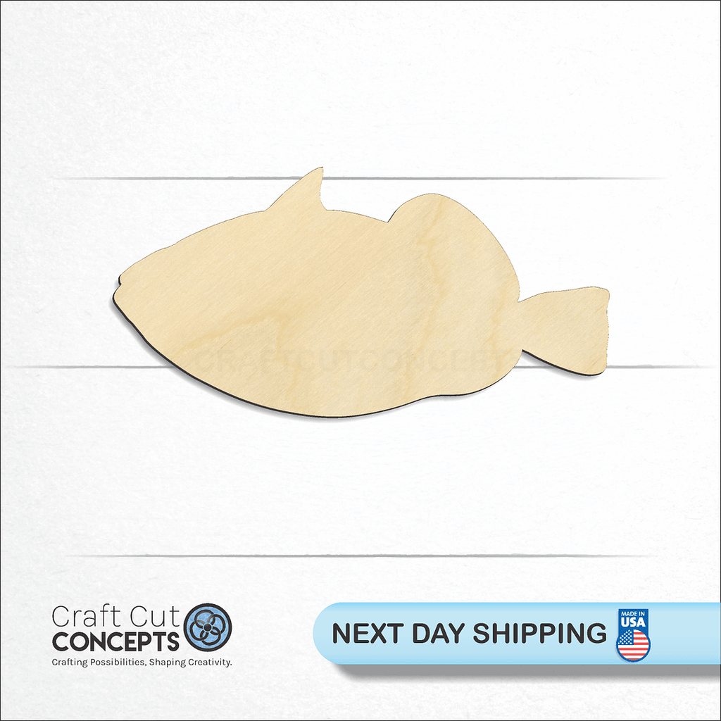 Craft Cut Concepts logo and next day shipping banner with an unfinished wood Trigger Fish craft shape and blank