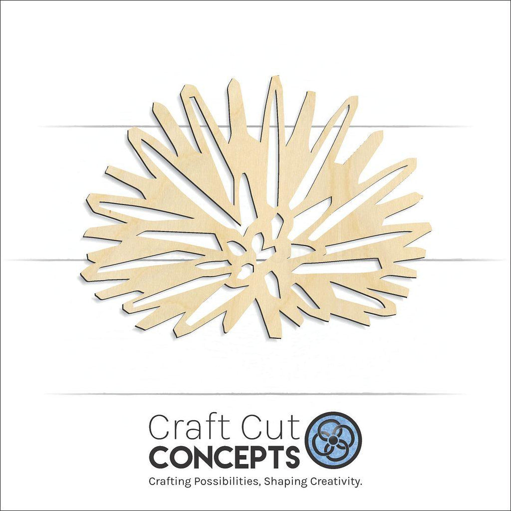 Craft Cut Concepts Logo under a wood sea urchin craft shape and blank