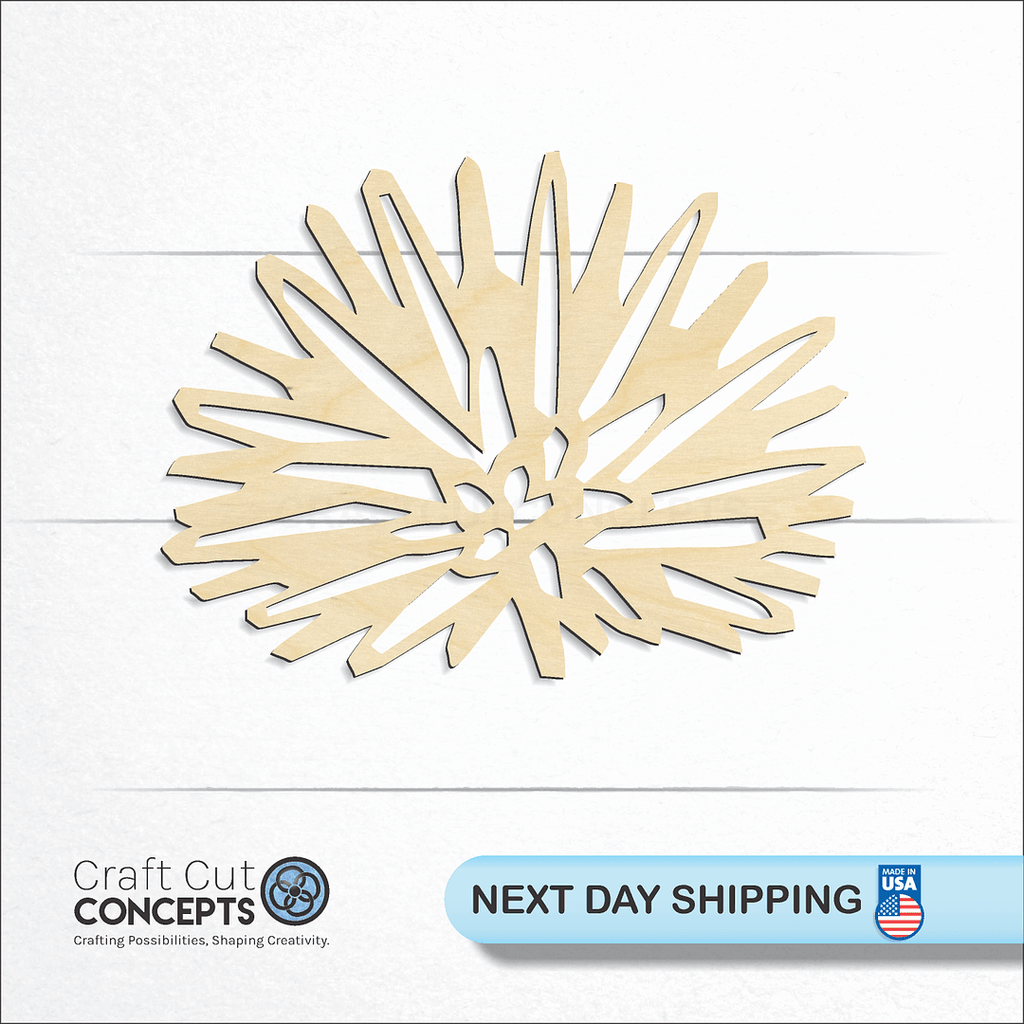 Craft Cut Concepts logo and next day shipping banner with an unfinished wood sea urchin craft shape and blank