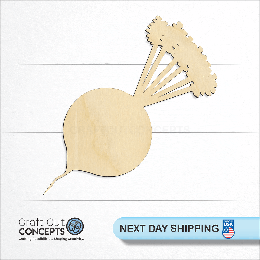 Craft Cut Concepts logo and next day shipping banner with an unfinished wood Radish craft shape and blank