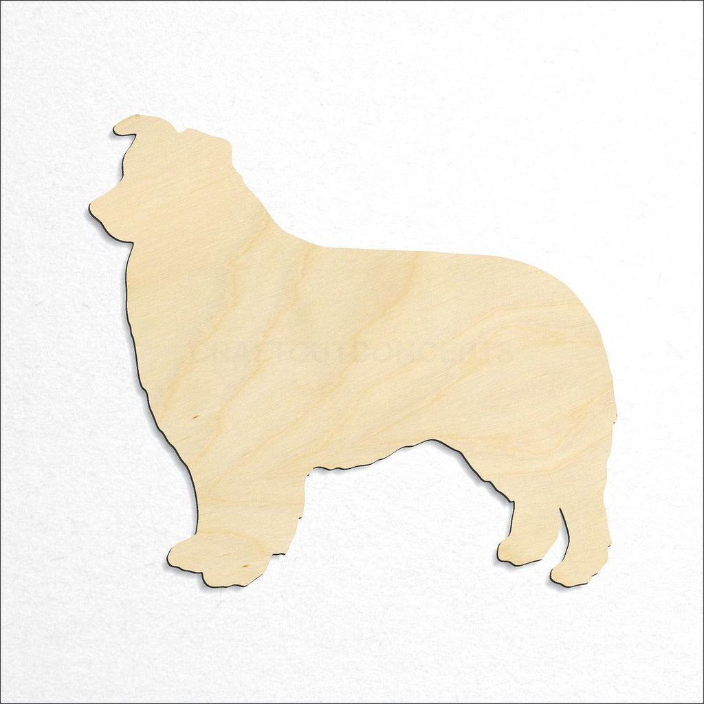 Wooden Border Collie craft shape available in sizes of 2 inch and up