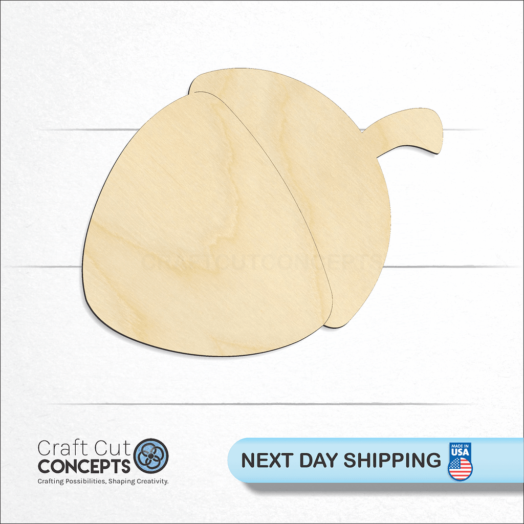 Craft Cut Concepts logo and next day shipping banner with an unfinished wood Acorn craft shape and blank