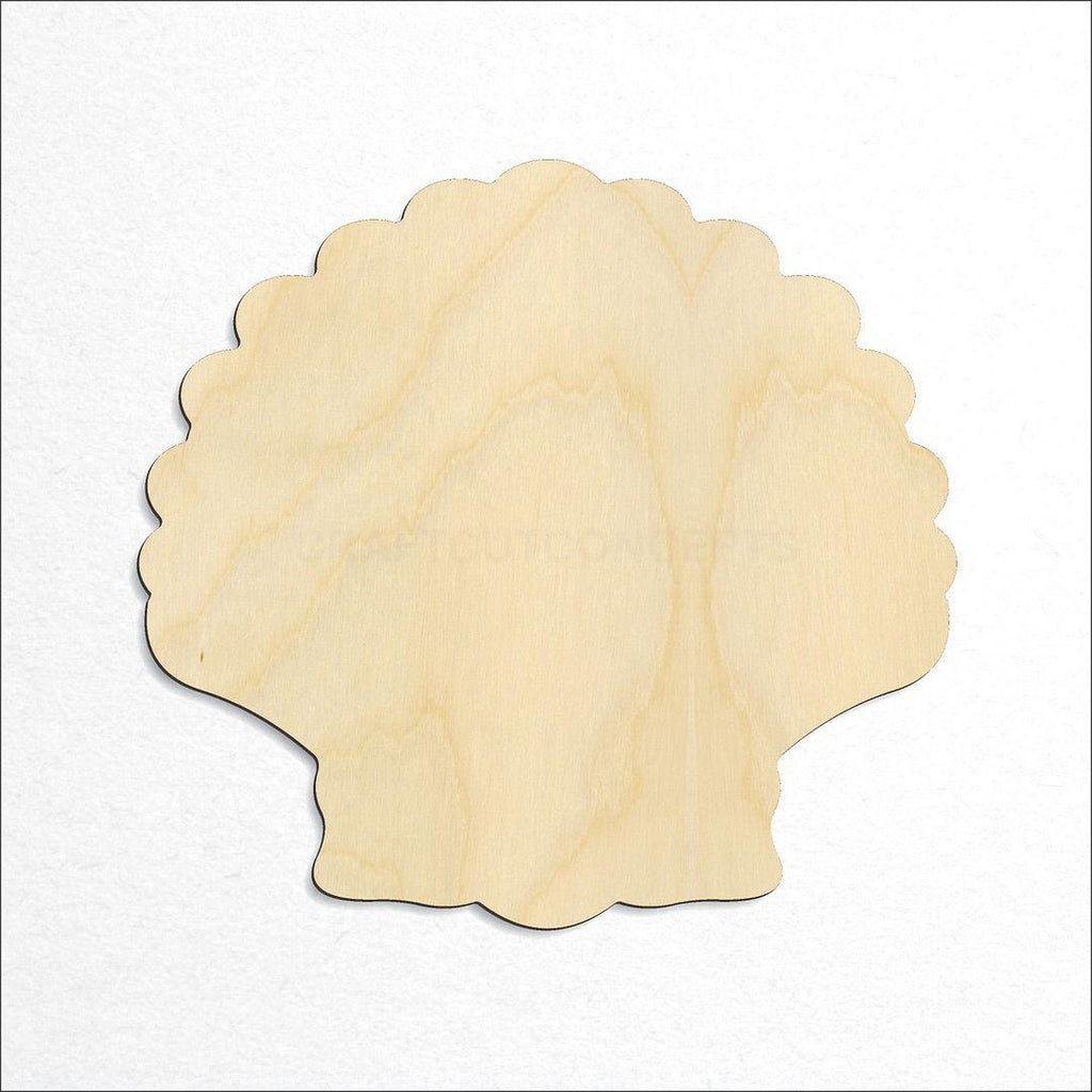 Wooden Sea Shell Clam craft shape available in sizes of 1 inch and up