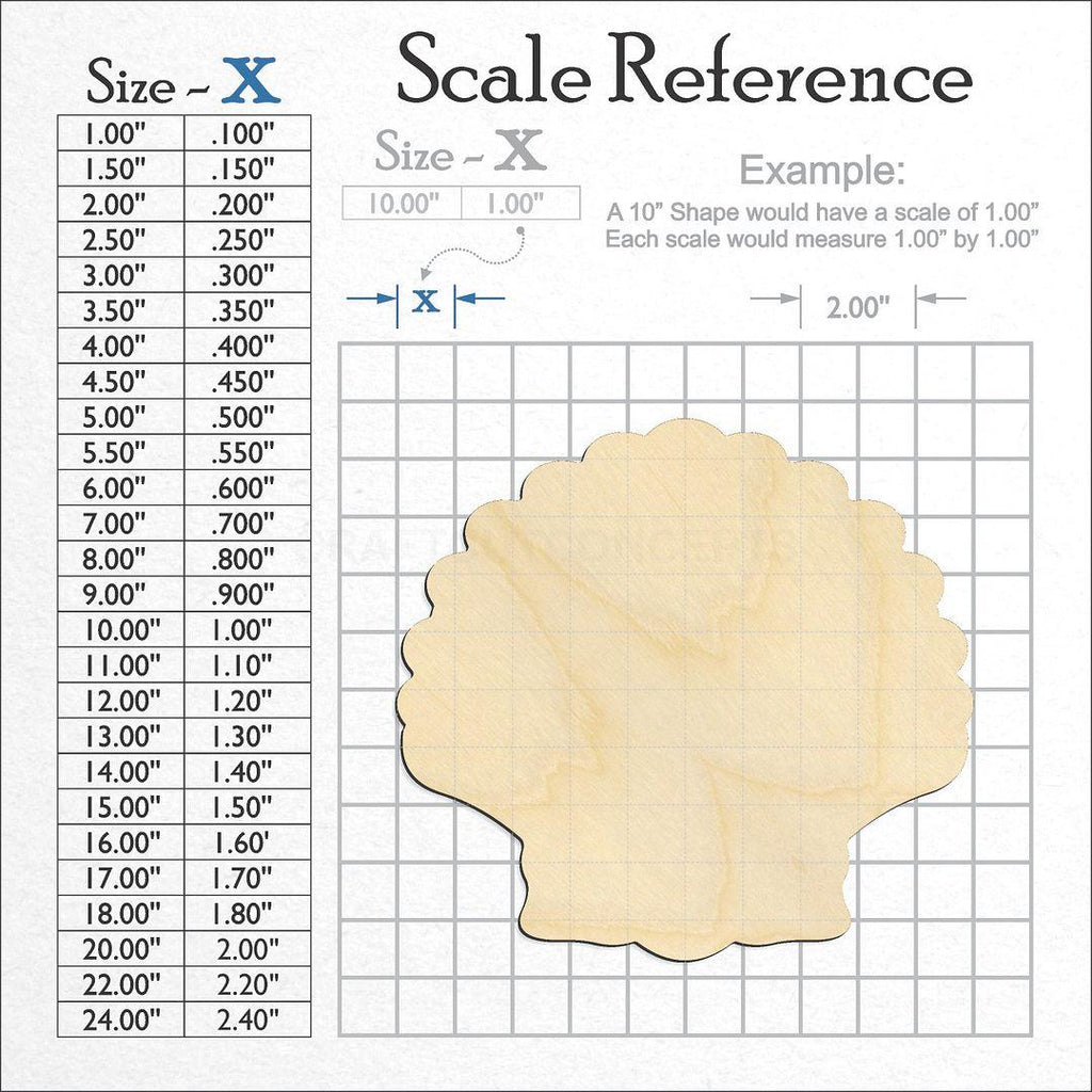 A scale and graph image showing a wood Sea Shell Clam craft blank