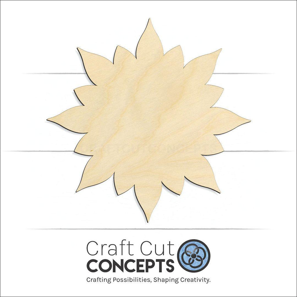 Craft Cut Concepts Logo under a wood Star Burst craft shape and blank