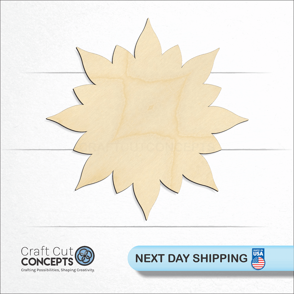 Craft Cut Concepts logo and next day shipping banner with an unfinished wood Star Burst craft shape and blank