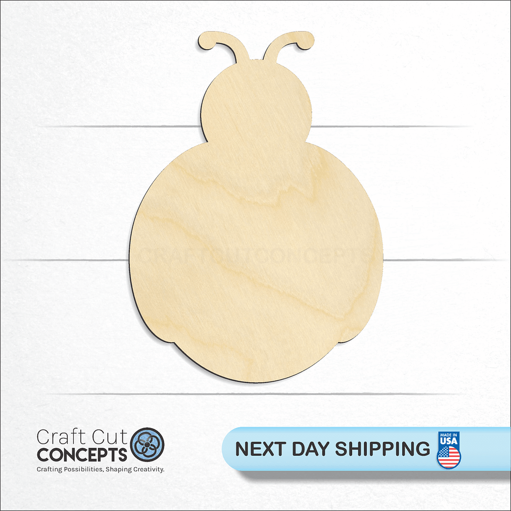 Craft Cut Concepts logo and next day shipping banner with an unfinished wood Lady Bug craft shape and blank