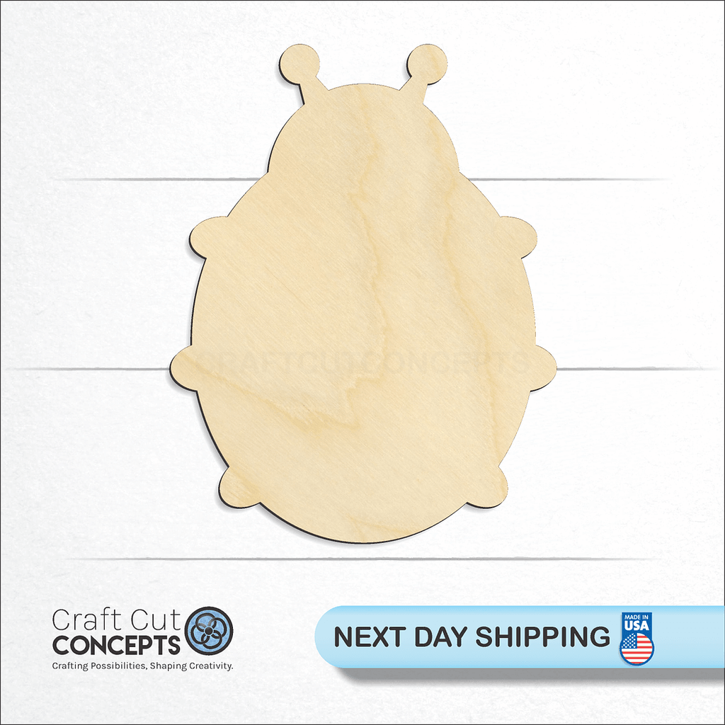 Craft Cut Concepts logo and next day shipping banner with an unfinished wood Lady Bug craft shape and blank