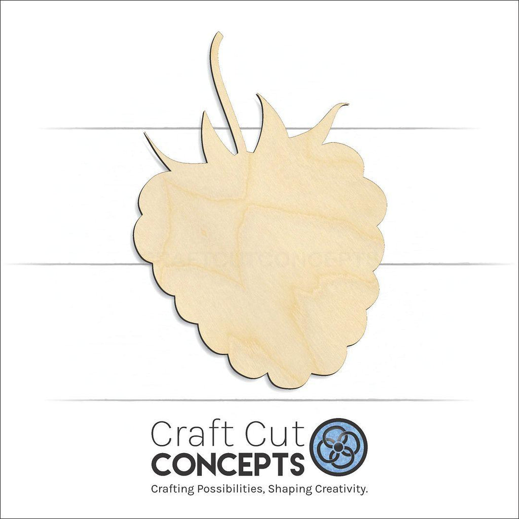 Craft Cut Concepts Logo under a wood Raspberry craft shape and blank