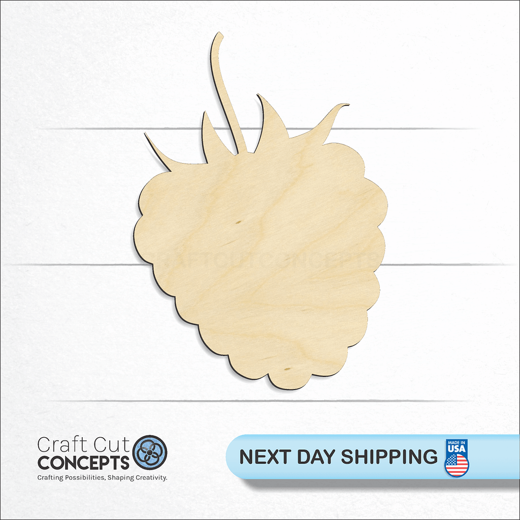 Craft Cut Concepts logo and next day shipping banner with an unfinished wood Raspberry craft shape and blank