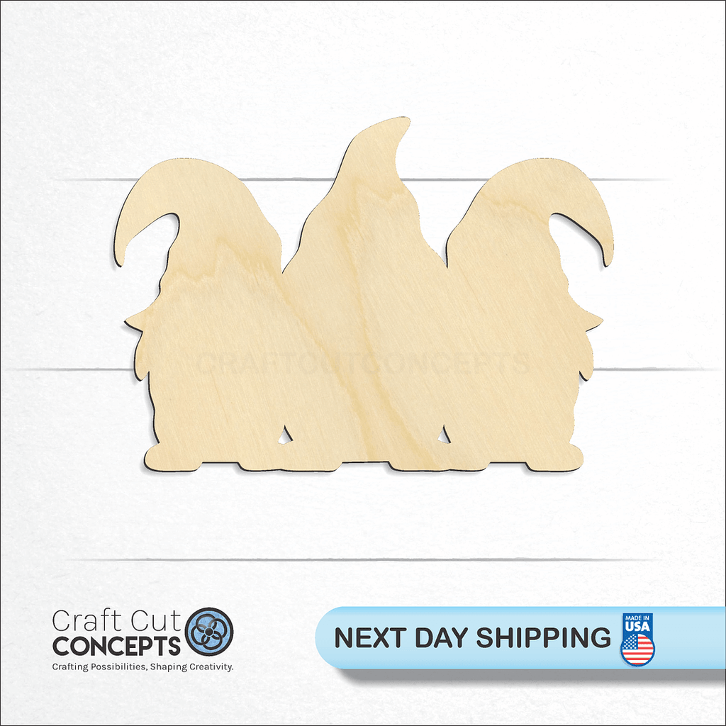 Craft Cut Concepts logo and next day shipping banner with an unfinished wood Gnome Set craft shape and blank