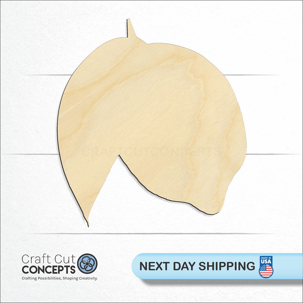 Craft Cut Concepts logo and next day shipping banner with an unfinished wood Lemon with Leaf craft shape and blank