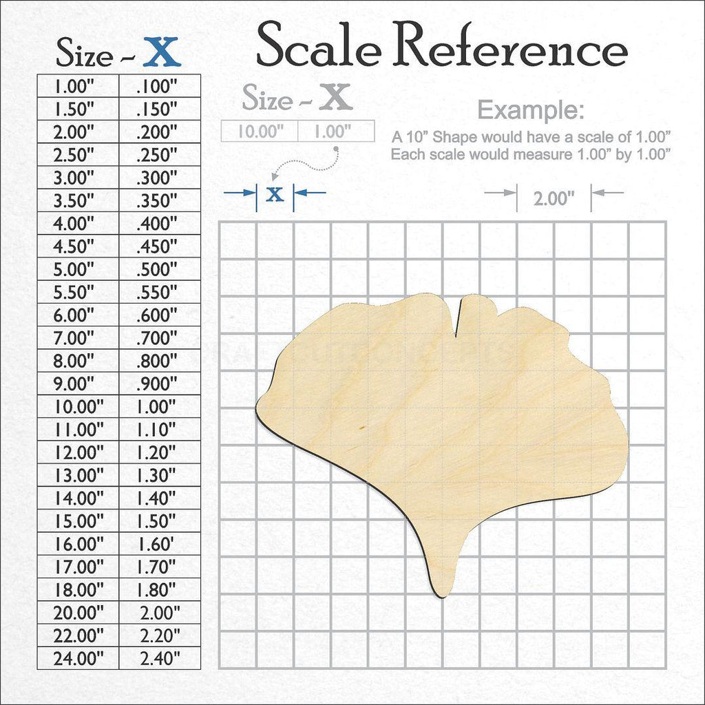 A scale and graph image showing a wood Gingko Leaf craft blank