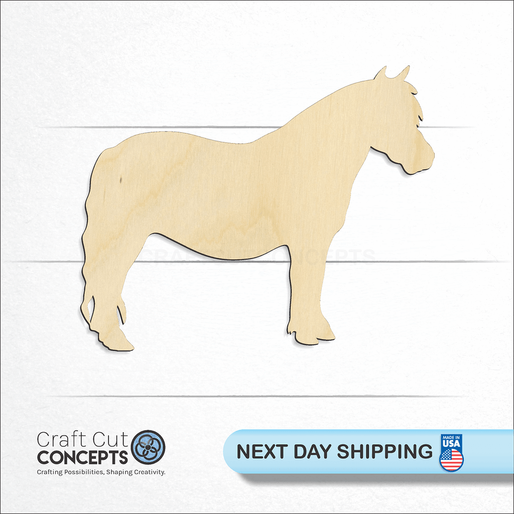 Craft Cut Concepts logo and next day shipping banner with an unfinished wood Pony craft shape and blank