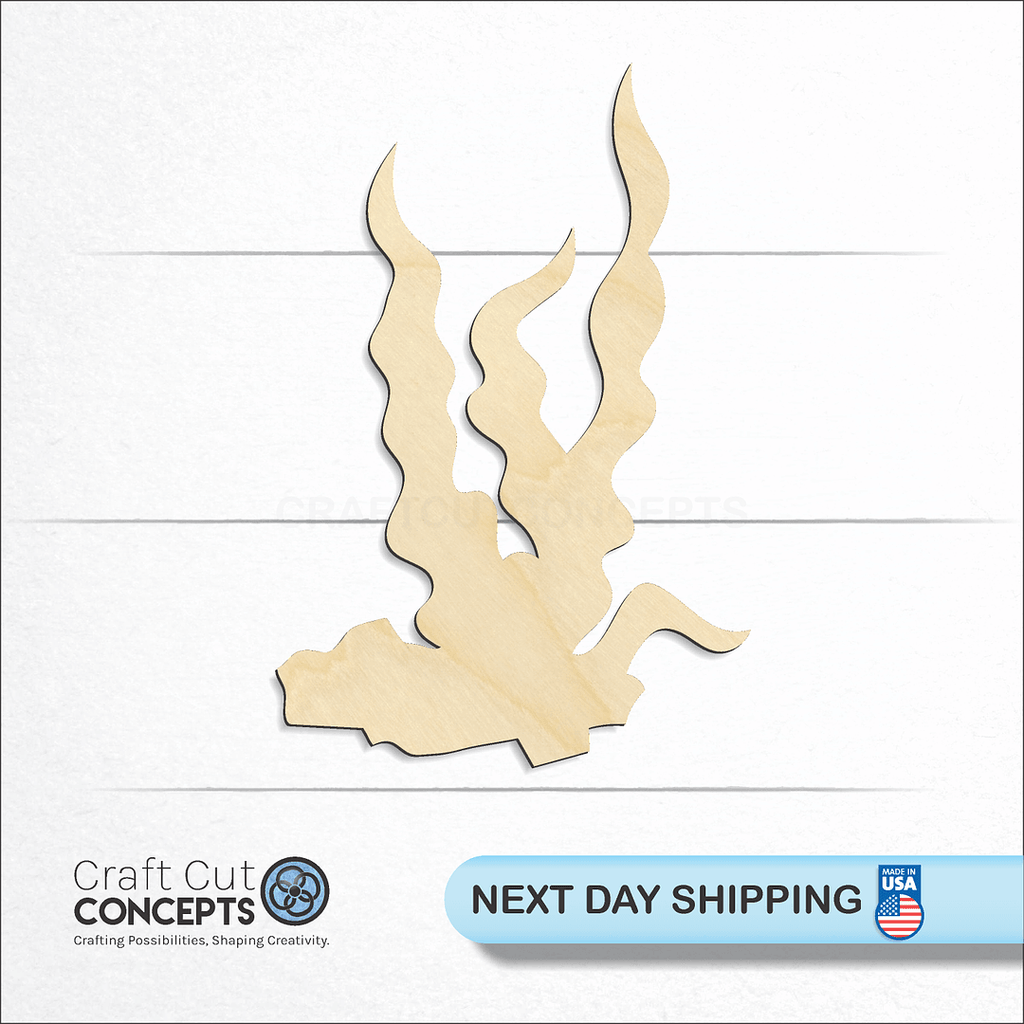 Craft Cut Concepts logo and next day shipping banner with an unfinished wood Seaweed craft shape and blank