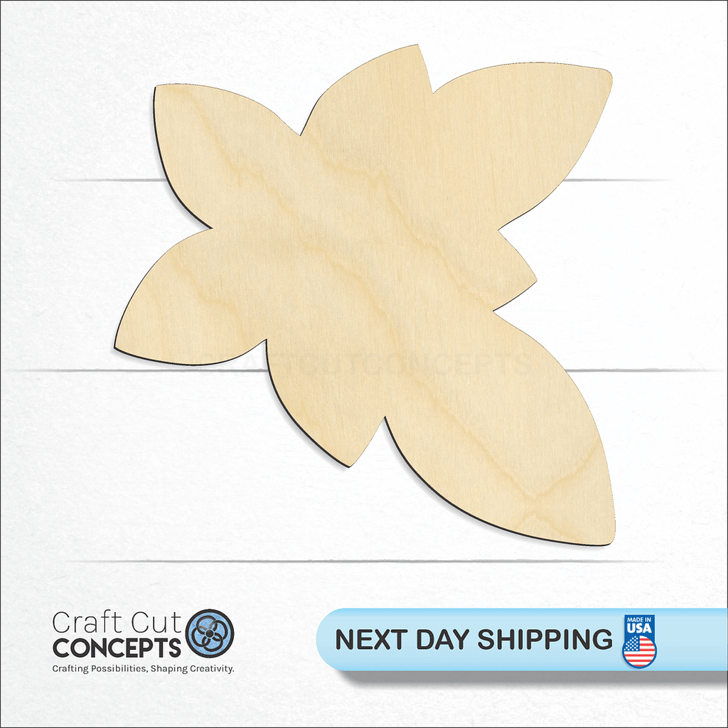 Craft Cut Concepts logo and next day shipping banner with an unfinished wood plumeria craft shape and blank