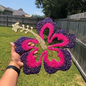 Customer review photo
